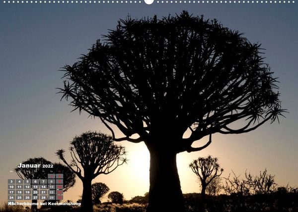 Produktbild: Namibia mal anders (Wandkalender 2022 DIN A2 quer)