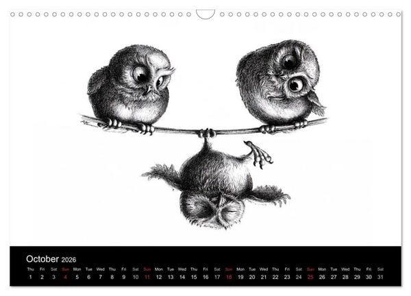 Produktbild: owls & friends 2026 (Wall Calendar 2026 DIN A3 landscape), CALVENDO 12 Month Wall Calendar
