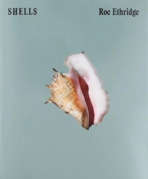 Produktbild: Shells