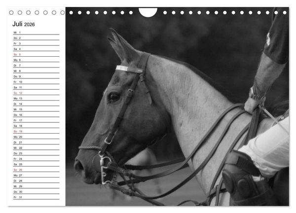 Produktbild: Leidenschaft Pferdesport - Impressionen (Wandkalender 2026 DIN A4 quer), CALVENDO Monatskalender