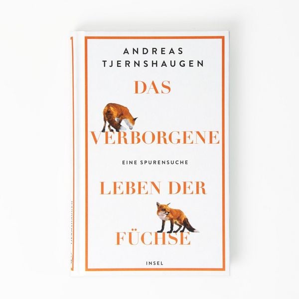 Produktbild: Das verborgene Leben der F&uuml;chse