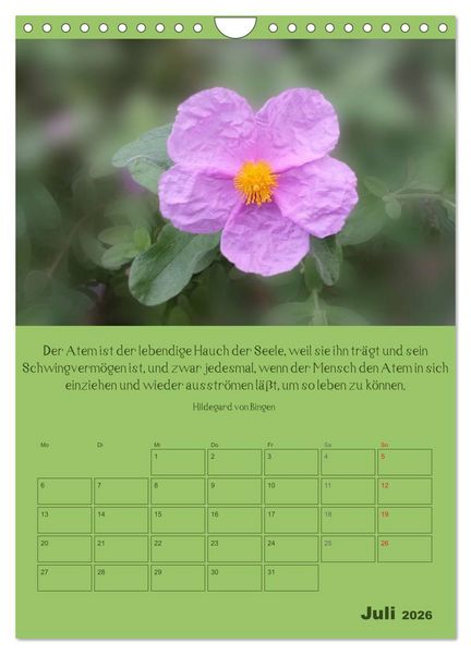 Produktbild: Erkenntnis und Weisheit - Hildegard von Bingen (Wandkalender 2026 DIN A4 hoch), CALVENDO Monatskalender
