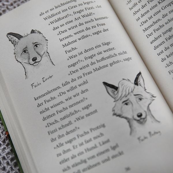 Produktbild: Die Tochter der Zauberin