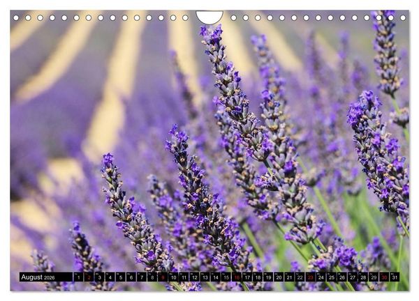 Produktbild: Provence (Wandkalender 2026 DIN A4 quer), CALVENDO Monatskalender
