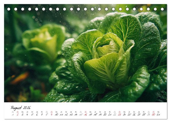 Produktbild: Gem&uuml;segarten - Gem&uuml;se aus dem eigenen Garten (Tischkalender 2026 DIN A5 quer), CALVENDO Monatskalender