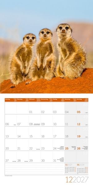 Produktbild: Erdm&auml;nnchen Kalender 2027 - 30x30 - Art12