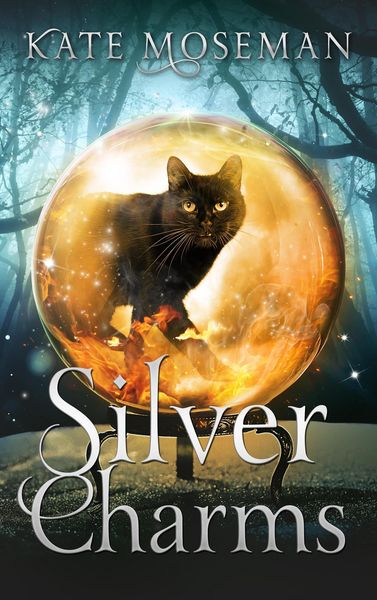 Produktbild: Silver Charms (Midlife Elementals, #2)