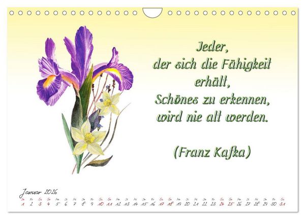 Produktbild: 12 unterhaltsame Zitate f&uuml;r ein sch&ouml;nes Jahr (Wandkalender 2026 DIN A4 quer), CALVENDO Monatskalender