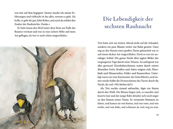 Produktbild: Die magische Reise des Rauhn&auml;chte-Raben Trix