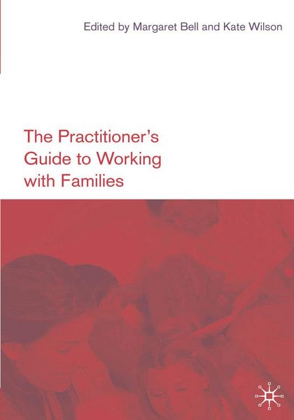 Produktbild: The Practitioner's Guide to Working with Families