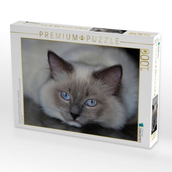 Produktbild: CALVENDO Puzzle Ein Motiv aus dem Kalender Engel auf 4 Pfoten - Ragdolls 2017 | 1000 Teile Lege-Gr&ouml;&szlig;e 64x48cm Foto-Puzzle f&uuml;r gl&uuml;ckliche Stunden