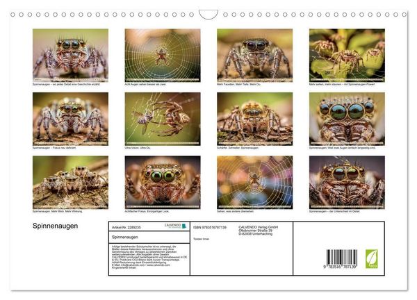 Produktbild: Spinnenaugen (Wandkalender 2027 DIN A3 quer), CALVENDO Monatskalender