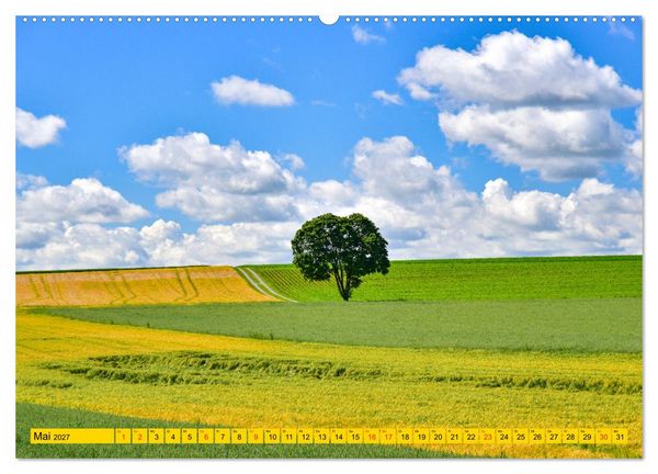 Produktbild: B&auml;ume sind Tr&auml;ume (hochwertiger Premium Wandkalender 2027 DIN A2 quer), Kunstdruck in Hochglanz