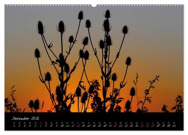 Produktbild: Zeit der Natur - Ein Augenblick zur Ewigkeit (hochwertiger Premium Wandkalender 2026 DIN A2 quer), Kunstdruck in Hochglanz