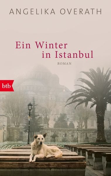 Produktbild: Ein Winter in Istanbul