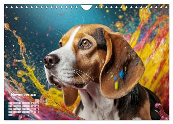 Produktbild: Splash - Hunde im Farbrausch (Wandkalender 2026 DIN A4 quer), CALVENDO Monatskalender