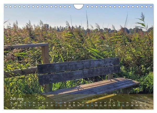 Produktbild: Moortr&auml;ume - Natursch&ouml;nheit in Bildern (Wandkalender 2026 DIN A4 quer), CALVENDO Monatskalender