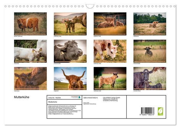 Produktbild: Mutterk&uuml;he (Wandkalender 2026 DIN A3 quer), CALVENDO Monatskalender