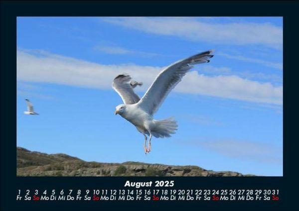 Produktbild: Nordsee 2025 Fotokalender DIN A5