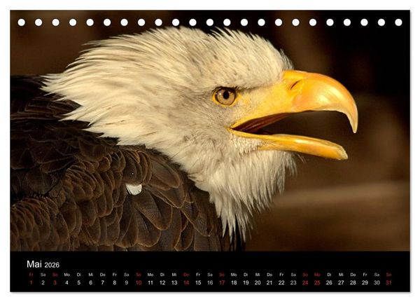 Produktbild: Greifv&ouml;gel (Tischkalender 2026 DIN A5 quer), CALVENDO Monatskalender