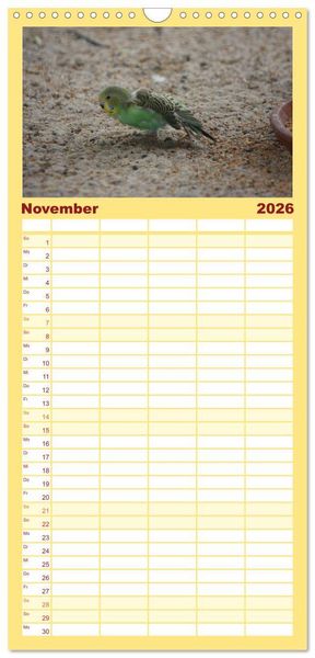 Produktbild: Familienplaner 2026 - Wellensittiche - Gefiederte Freunde mit 5 Spalten (Wandkalender, 21 x 45 cm) CALVENDO