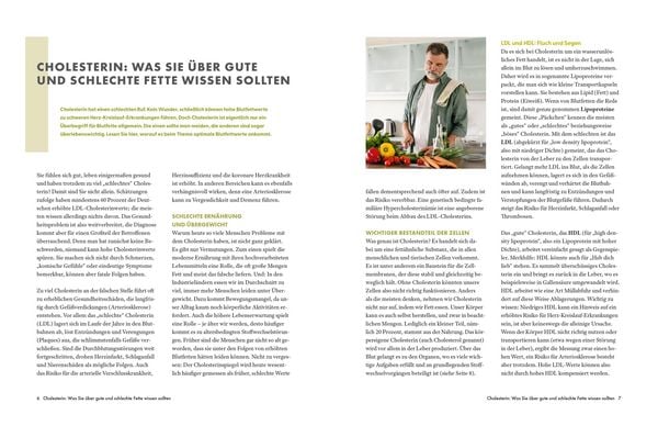 Produktbild: Die Ern&auml;hrungs-Docs &ndash; Cholesterin senken &ndash; Unsere 100 besten Rezepte