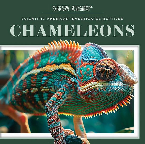 Produktbild: Chameleons