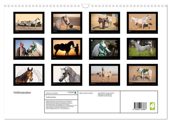 Produktbild: Vollblutaraber (Wandkalender 2026 DIN A3 quer), CALVENDO Monatskalender