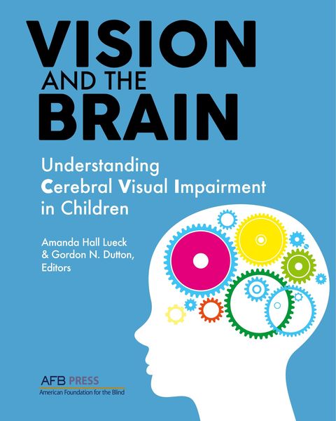 Produktbild: Vision and the Brain