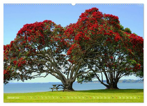 Produktbild: Neuseeland &bull; Impressionen (hochwertiger Premium Wandkalender 2026 DIN A2 quer), Kunstdruck in Hochglanz