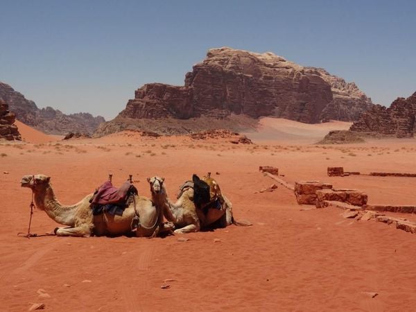 100 Highlights Israel mit Palästina und Jordanien