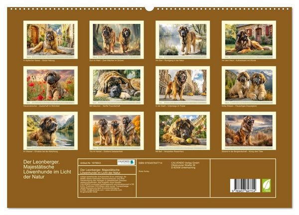 Produktbild: Der Leonberger. Majest&auml;tische L&ouml;wenhunde im Licht der Natur (hochwertiger Premium Wandkalender 2026 DIN A2 quer), Kunstdruck in Hochglanz