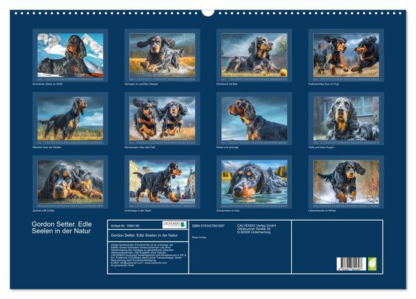 Produktbild: Gordon Setter. Edle Seelen in der Natur (Wandkalender 2026 DIN A2 quer), CALVENDO Monatskalender