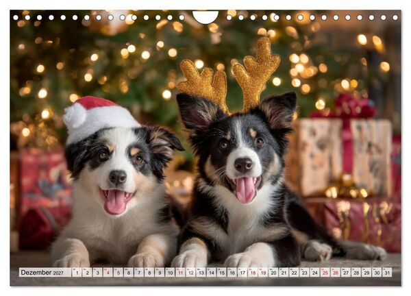Produktbild: Border Collie - Magische Augenblicke (Wandkalender 2027 DIN A4 quer), CALVENDO Monatskalender
