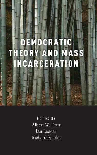 Produktbild: Democratic Theory and Mass Incarceration