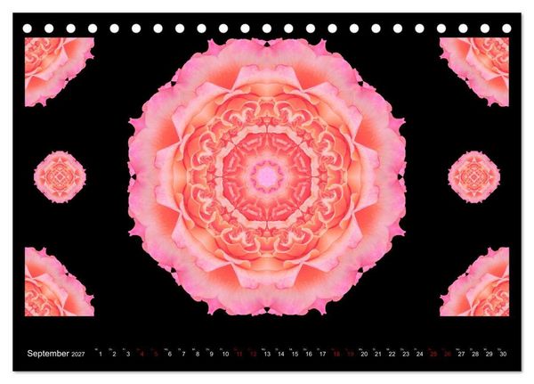Produktbild: ROSEN MANDALAS (Tischkalender 2027 DIN A5 quer), CALVENDO Monatskalender