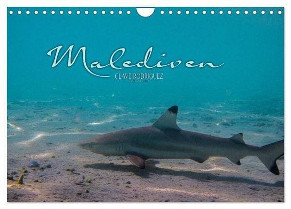 Produktbild: Unterwasserwelt der Malediven I (Wandkalender 2026 DIN A4 quer), CALVENDO Monatskalender