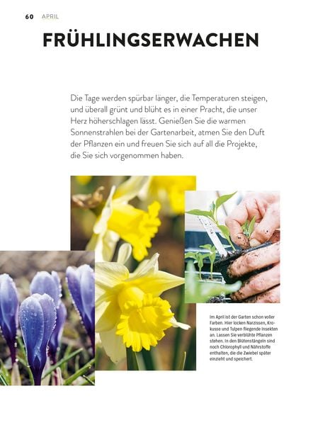Produktbild: Das gro&szlig;e Gartenjahr-Buch
