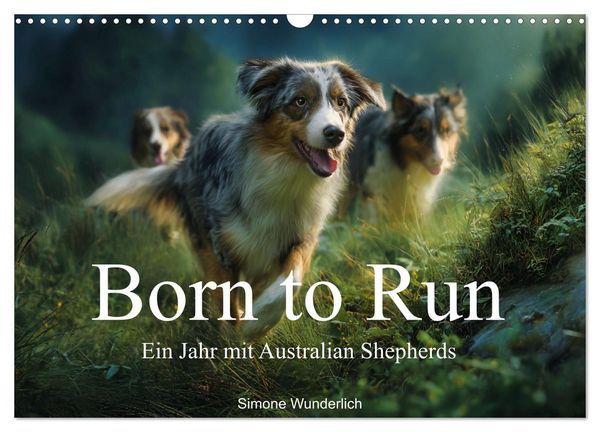 Produktbild: Born to run - Ein Jahr mit Australian Shepherds (Wandkalender 2027 DIN A3 quer), CALVENDO Monatskalender