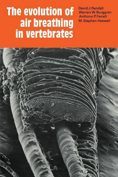 Produktbild: The Evolution of Air Breathing in Vertebrates