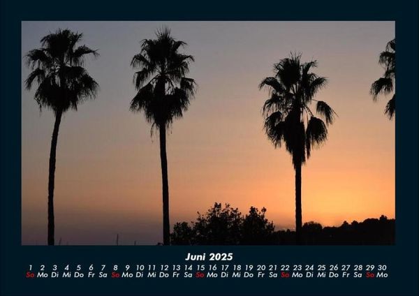 Produktbild: Palmentraum 2025 Fotokalender DIN A4