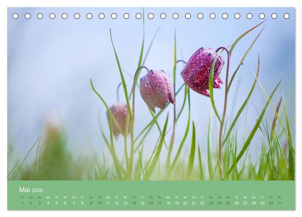 Produktbild: Farbwechsel - Die Farben der vier Jahreszeiten (Tischkalender 2026 DIN A5 quer), CALVENDO Monatskalender