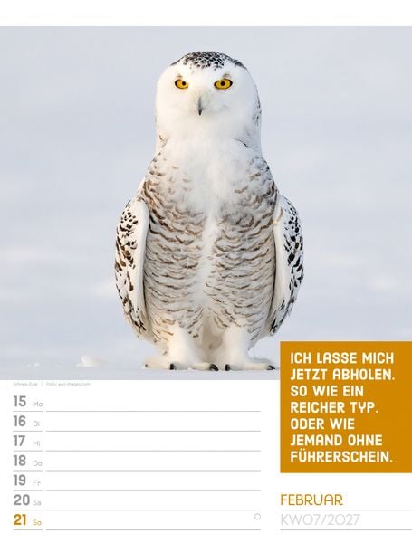 Produktbild: Tierisch Spr&uuml;chekalender Wochenplaner 2027