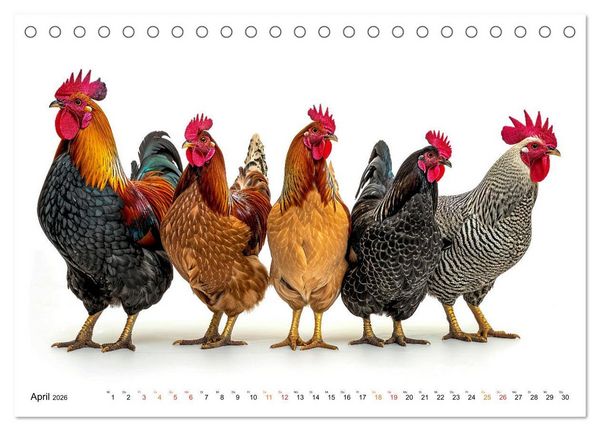 Produktbild: H&uuml;hner Alarm (Tischkalender 2026 DIN A5 quer), CALVENDO Monatskalender
