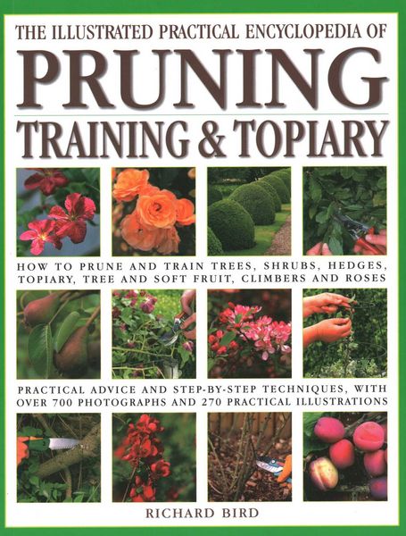 Produktbild: Illustrated Practical Encyclopedia of Pruning, Training and Topiary