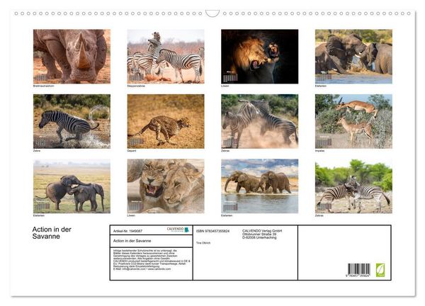 Produktbild: Action in der Savanne (Wandkalender 2026 DIN A2 quer), CALVENDO Monatskalender
