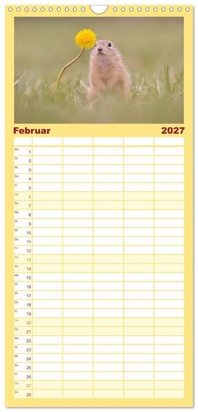 Produktbild: Familienplaner 2027 - Zauberhafte Ziesel mit 5 Spalten (Wandkalender, 21 x 45 cm) CALVENDO