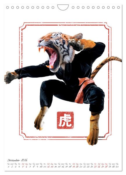 Produktbild: Crazy animal fighters (Wall Calendar 2026 DIN A4 portrait), CALVENDO 12 Month Wall Calendar