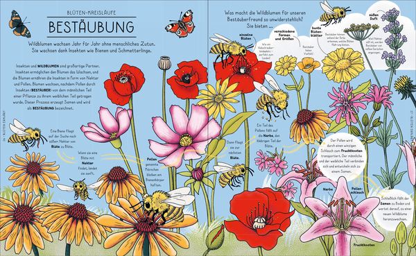Der Natur-Erklärer