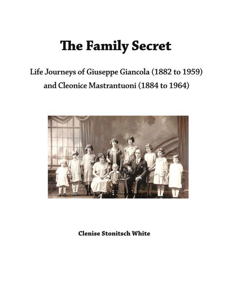 Produktbild: The Family Secret